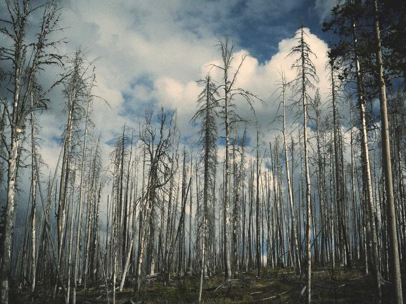 无信用卡换区<br>跳过付款方式修改地区指南